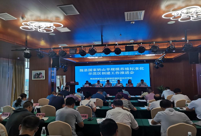 图片2_副本.png