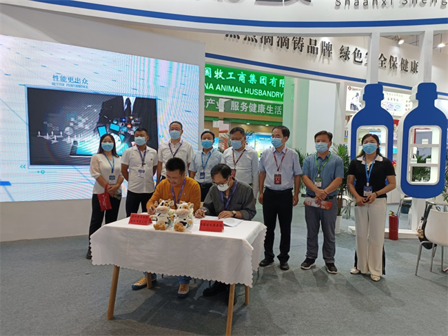 图片12.png