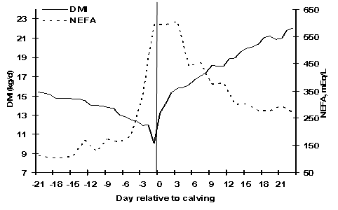 1669795575189282.png