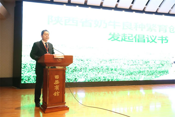 图片9.jpg