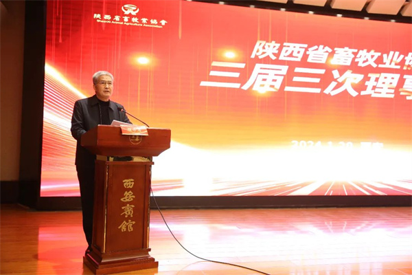 图片10.jpg