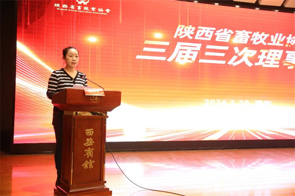 图片11.jpg