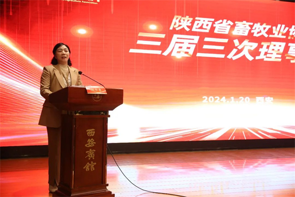 图片12.jpg