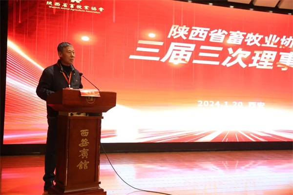 图片13.jpg