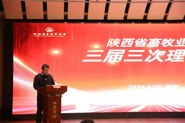 图片14.jpg