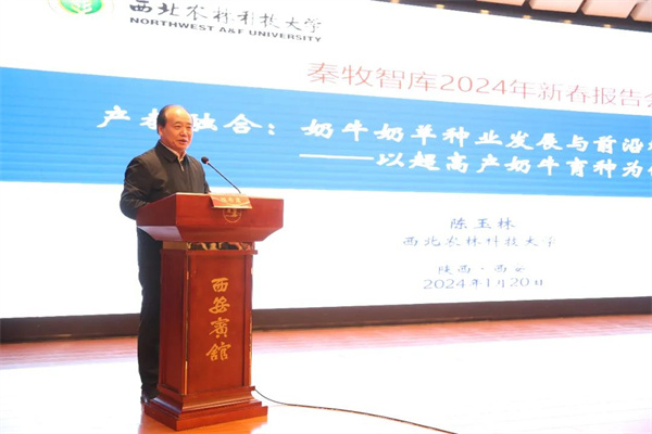 图片19.jpg