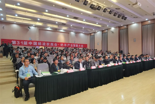 新质生产力 羊乳新未来——第31届中国杨凌农高会·羊乳产业博览会暨奶羊产业发展大会成功举办